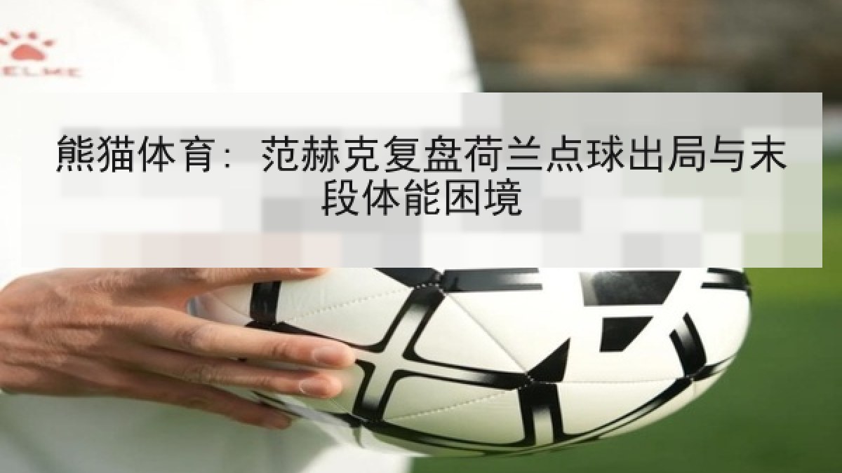熊猫体育: 范赫克复盘荷兰点球出局与末段体能困境